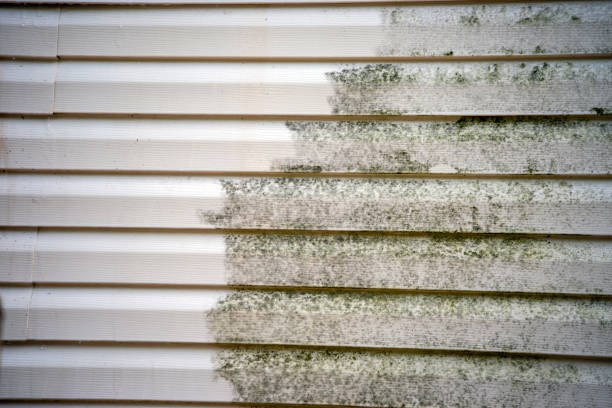 Best Shed Removal  in Sun Prairie, MT